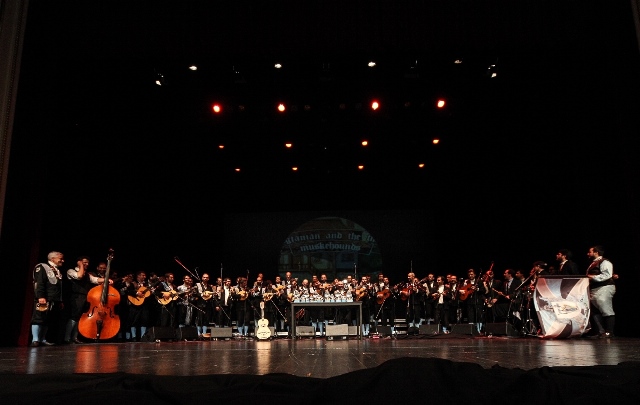 Imagem número 10 da galeria CELTA