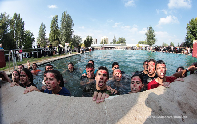 Imagem número 3 da galeria Caloiro de Molho
