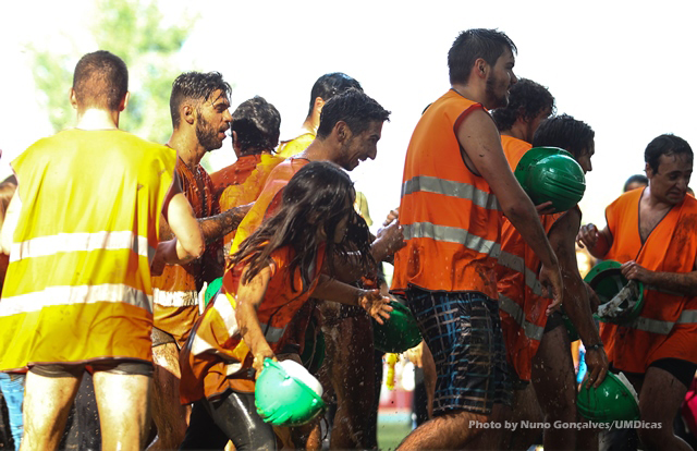 Imagem número 8 da galeria Caloiro de Molho