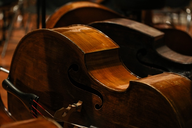 Imagem número 10 da galeria Concerto de Outono - Guimarães