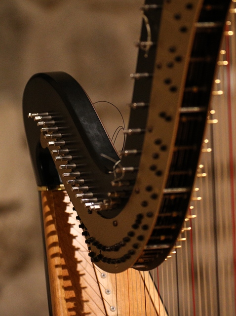 Imagem número 8 da galeria Concerto de Outono - Guimarães