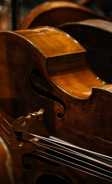 Imagem número 9 da galeria Concerto de Outono - Guimarães