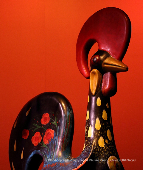 Imagem número 8 da galeria Momentmum