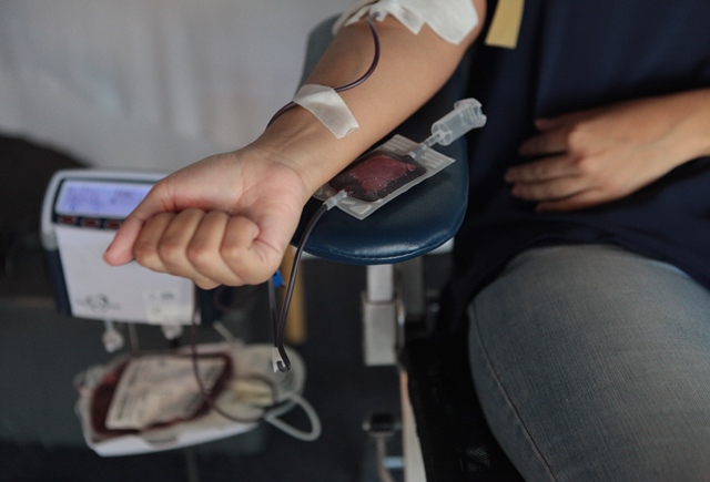 Imagem número 10 da galeria Dádiva de Sangue