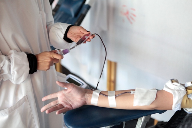 Imagem número 2 da galeria Dádiva de Sangue