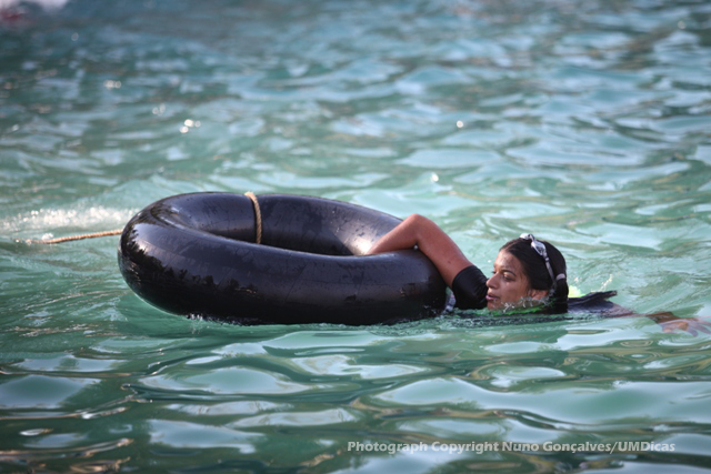 Imagem número 3 da galeria Caloiro de Molho