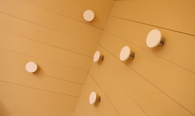 Imagem número 10 da galeria Curtir Ciência