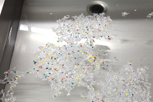 Imagem número 6 da galeria Curtir Ciência