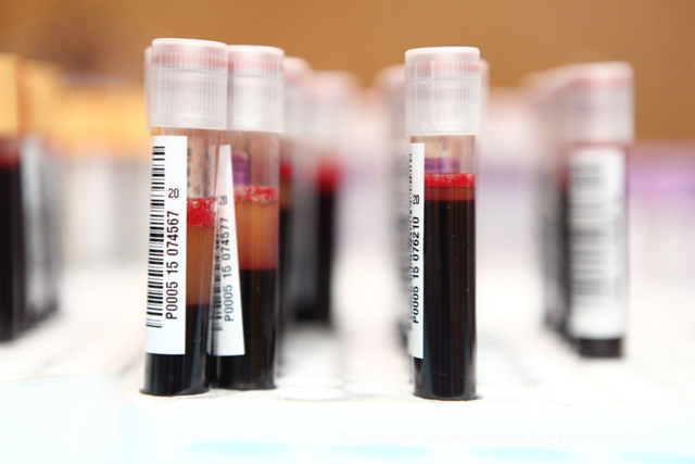 Imagem número 10 da galeria Dádiva de Sangue