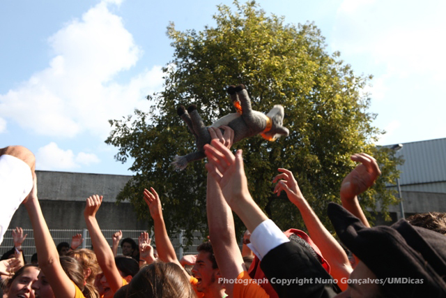 Imagem número 4 da galeria Caloiro de Molho