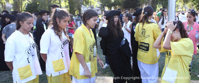 Imagem número 9 da galeria Caloiro de Molho