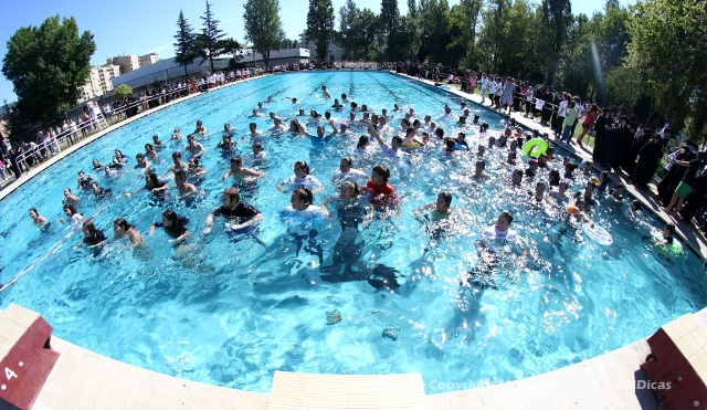 Imagem número 5 da galeria Caloiro de Molho