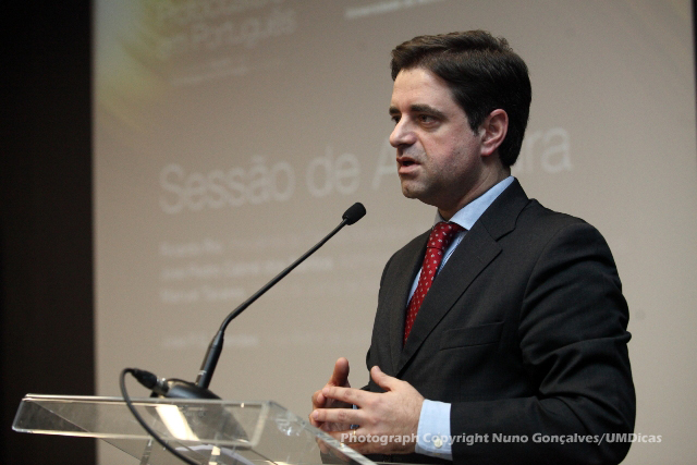 Imagem número 3 da galeria Protoclusters em Português