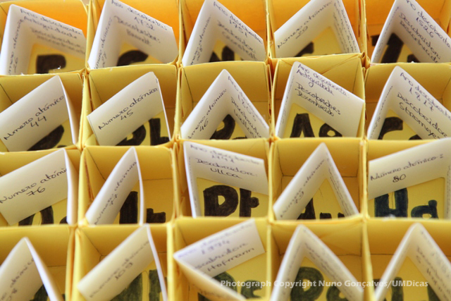 Imagem número 5 da galeria Festa da Ciência