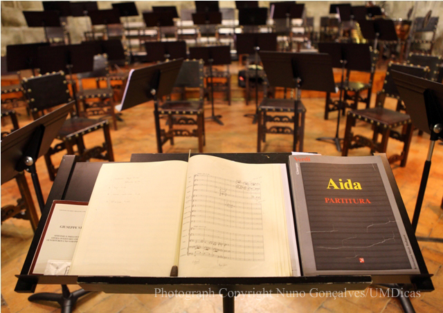 Imagem número 3 da galeria Festival Outono