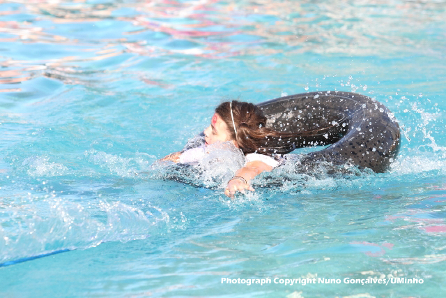 Imagem número 6 da galeria Caloiro de Molho