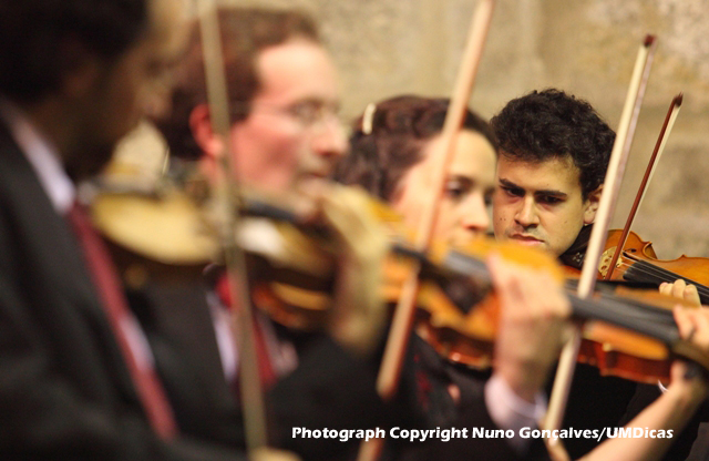 Imagem número 9 da galeria Festival Outono