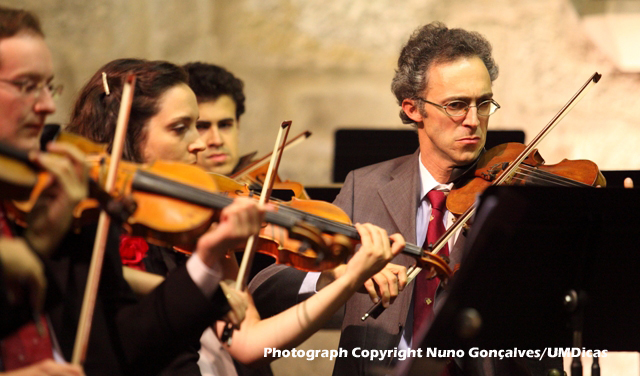 Imagem número 6 da galeria Festival Outono