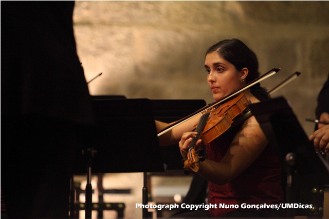 Imagem número 4 da galeria Festival Outono