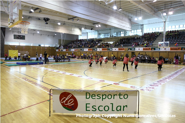 Imagem número 3 da galeria Desporto Escolar Ginástica