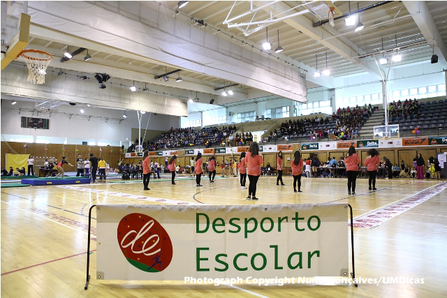 Imagem número 1 da galeria Desporto Escolar Ginástica