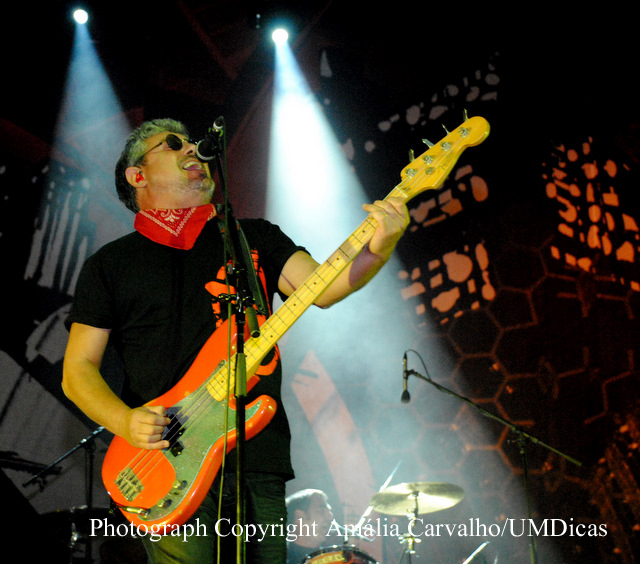 Imagem número 3 da galeria Recepção ao Caloiro