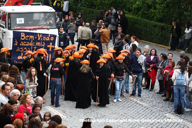 Imagem número 7 da galeria Cortejo