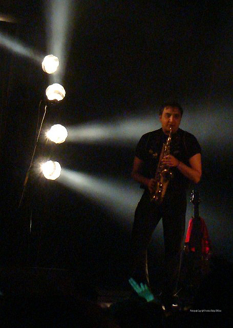 Imagem número 10 da galeria Enterro da Gata