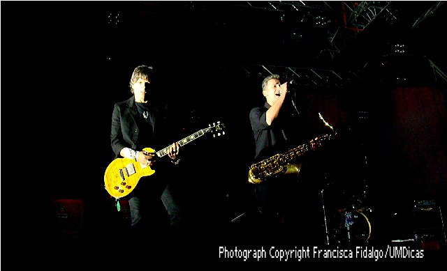 Imagem número 1 da galeria Enterro da Gata