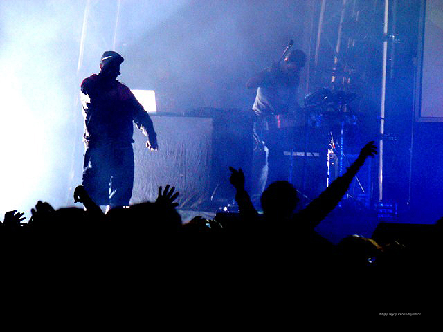 Imagem número 6 da galeria Enterro da Gata