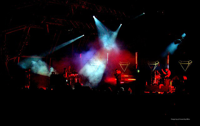 Imagem número 3 da galeria Enterro da Gata