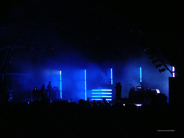 Imagem número 4 da galeria Enterro da Gata