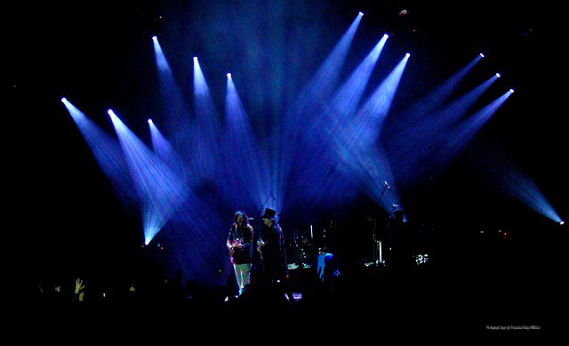 Imagem número 2 da galeria Enterro da Gata