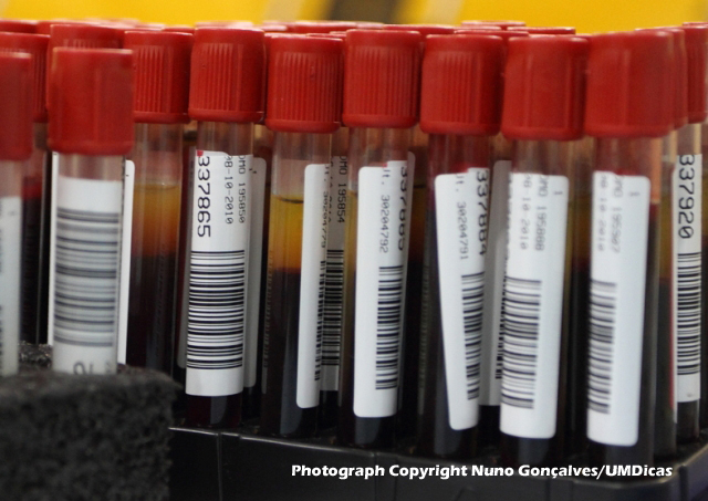 Imagem número 9 da galeria Dádiva de Sangue Outubro - Gualtar