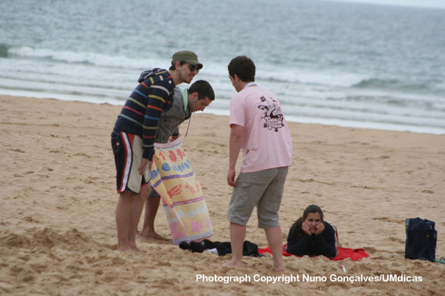 Imagem número 1 da galeria Gata na Praia