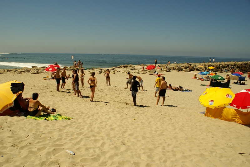 Imagem número 5 da galeria Surf Erasmus