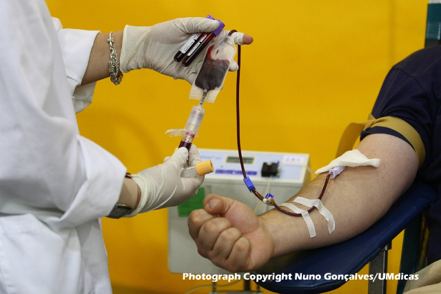 Imagem número 1 da galeria Dádiva de Sangue