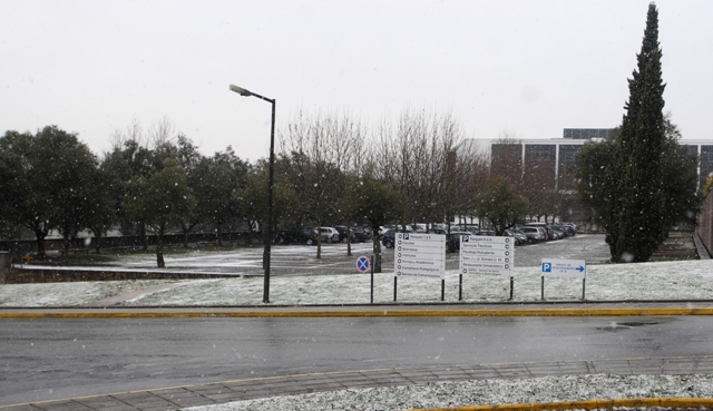 Imagem número 1 da galeria Neve no Campus