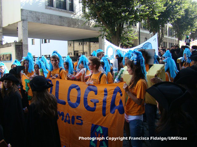 Imagem número 5 da galeria Latada