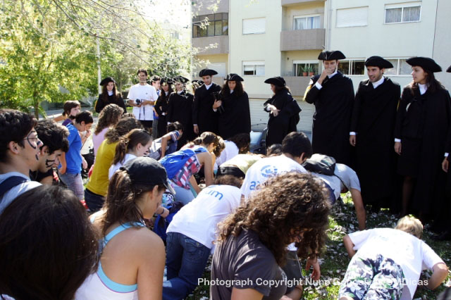 Imagem número 8 da galeria Caloiro de Molho