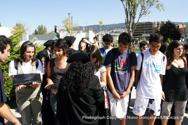Imagem número 1 da galeria Caloiro de Molho