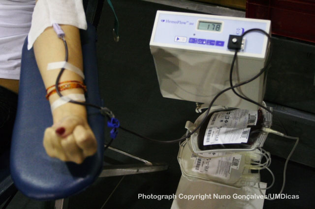 Imagem número 2 da galeria Dádiva de Sangue - Outubro