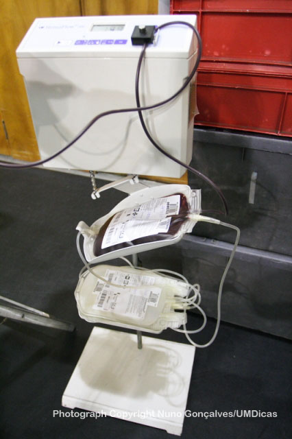 Imagem número 3 da galeria Dádiva de Sangue - Outubro