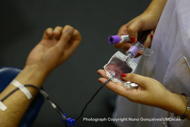 Imagem número 8 da galeria Dádiva de Sangue - Outubro