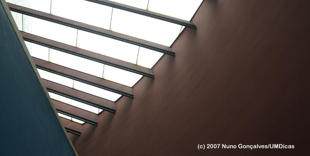 Imagem número 8 da galeria Jogos Galaico Durienses