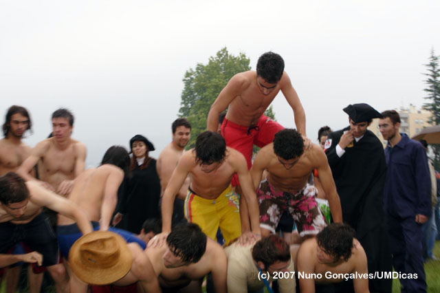 Imagem número 3 da galeria Caloiro de Molho