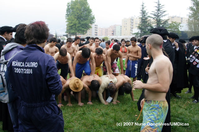 Imagem número 1 da galeria Caloiro de Molho