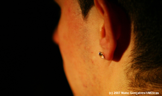 Imagem número 5 da galeria Sardinha - Novembro