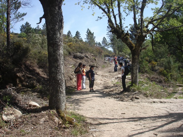Imagem número 2 da galeria Erasmus: Passeio no Gerês