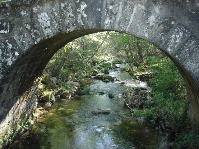 Imagem número 5 da galeria Erasmus: Passeio no Gerês